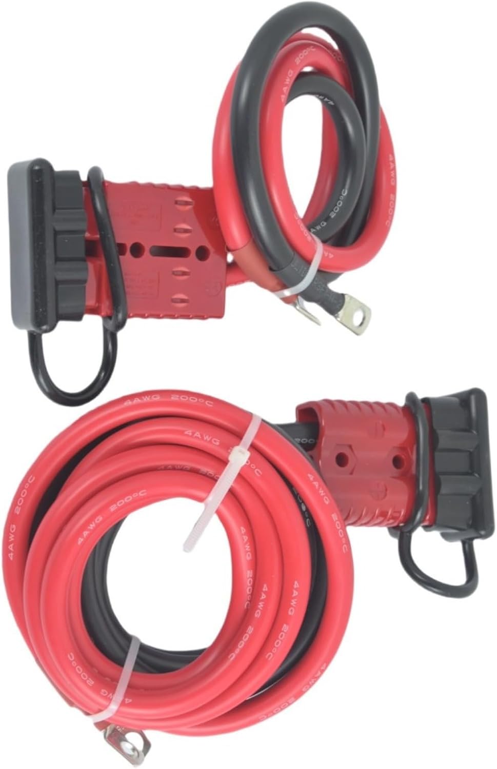 美株 ボンバックス サボテン 多肉植物 塊根 コーデックス 観葉植物